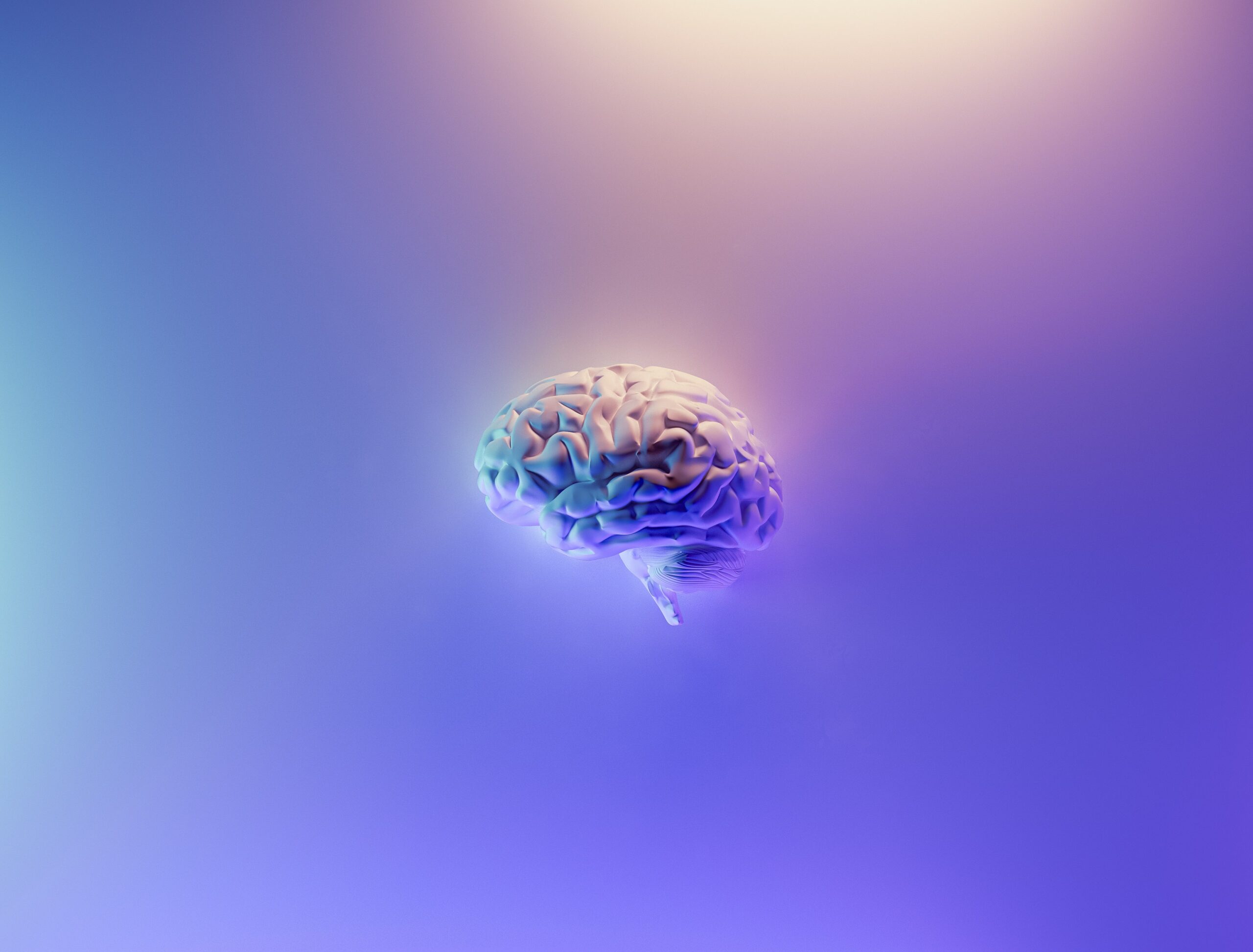 http://milad-b-fakurian-58Z17lnVS4U-unsplash
